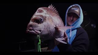 UV Torch charges up Snapper Snacks and Snatcher rigs = fish on