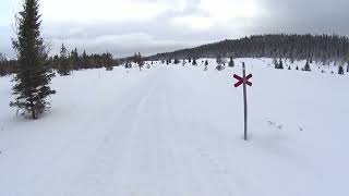 Tänndalen till Tännäs Skoter