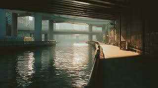 lofi jazz for peaceful nights and deep concentration