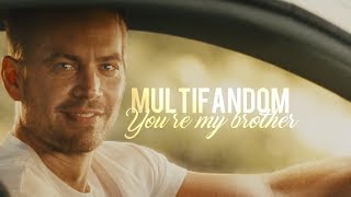 Multifandom, You're My Brother. [For Nadiow613]