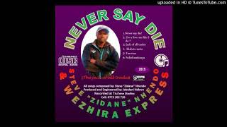 STEVE "ZIDANE" NHENDO & WEZHIRA EXPRESS (SONG:: JACK OF ALL TRADES