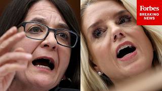 BREAKING NEWS: Balint Explodes On Bondi After AG Slams Her For Vote Against Antisemitism Resolution