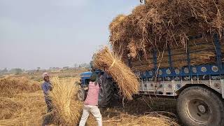 MD Gulzar Alam video