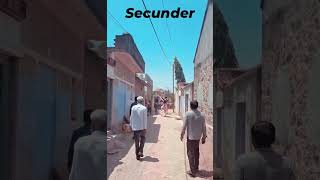 (Sikandar Babra)                                                 #kathiyawadi #horse #trending #live