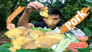 Pork belly with white rice || Dinner in Jungle || nepali mukbang || ASMR