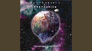 Landslide O' Tiny Robots (Skim Stone Mix)