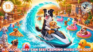 🔴 Cartoon For Dogs 24/7 - TV For Dogs: Nature Sound & Deep Healing Music💤Help Dog Feel Less Anxious