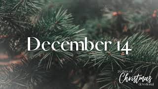 25 Days of Christmas | December 14