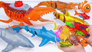 [Toy asmr] Mosasaurus & Crocodile & RC Whale & Nimo Fish & Aquarium ASMR Satisfying with Unboxing