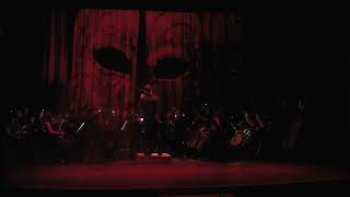 Entreacte -(El fantasma de la ópera - Andrew Ll. Weber)