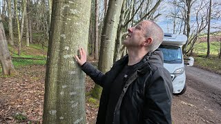 Psychic Tree Talk World War to World Peace | Brock Wood Scotland