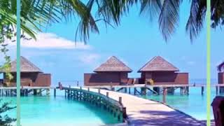 Join the CMBC 2021 Cruise