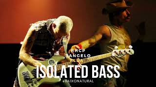 BN ISOLATED BASS - FLEA - RHCP - TANGELO