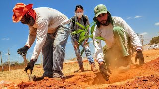 Avenida Centenária recebe primeira ação de plantio do “Mossoró Verde”