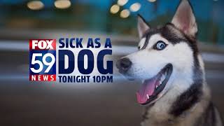 Fox59 News at Ten: Sick As A Dog - Tonight 15