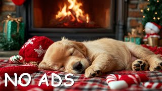 10 Hours of Calming Dog Music for Dogs 🎵 Dog Sleep Music 🐶 Separation Anxiety Relief Music