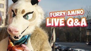 Furry Amino! Live Q&A Session