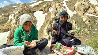 Family Survival in the Zagros Mountains | Living With Nomads 🏔️💔