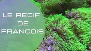 Le récif de François
