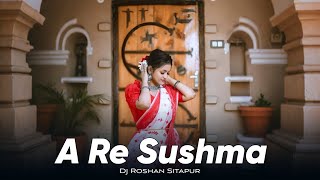 Dj Roshan Sitapur X A Re Sushama X Nagpuri X Brazilian Funk Mix