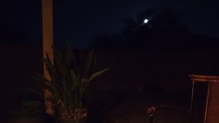 Moonset, Live!