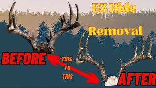 Easy Deer Hide Removal from a buck skull for mounting on a wall plaque