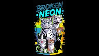 Broken Neon In Concert