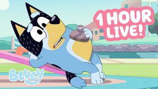 🔴LIVE: Big Blue Meanie! 😠 💙 | Dad on the Seesaw | 60 MINUTES Bluey Clips Compilation 🌟 | Bluey