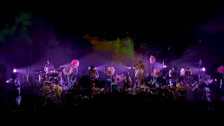 Flame of the Forest – PUPA (Act 2 LIVE)