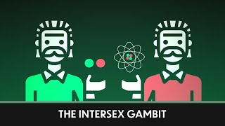 The Intersex Gambit | Paradox Animations