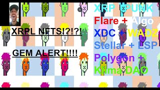 Life Changing XRP Updates + NFTS and Altcoin Gems!! Flare, XDC, Wadzpay, Stellar, LSP, ClimaDAO