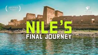 Untamed Nile: The River’s Last Stretch through the Sahara | 4K Nature Documentary