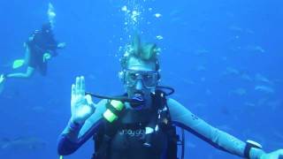 Red Sea Dive Trip