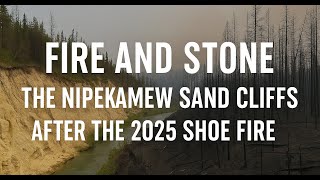 Fire and Stone: The Nipekamew Sand Cliffs After the 2025 Shoe Fire