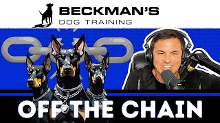 Beckman Live - I answer YOUR questions