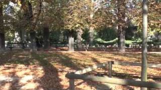 Luxembourg Gardens Paris