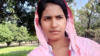 Mt village#balua#video 🥰 ration distribution center