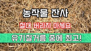 Never throw away crop residue. It's the best organic fertilizer!