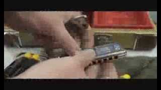 The Wisecarvers - Dustin's New Toy