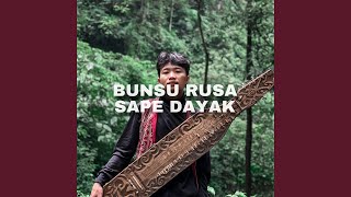 BUNSU RUSA SAPE DAYAK