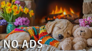 12 Hours Anti-Anxiety Music for Dogs 🐕‍🦺 Powerful Calm for Nervous Dogs | No Ads
