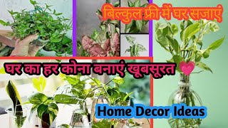 घर सजाएं प्लांट से बिल्कुल फ्री में|plant Decoration Ideas|Cuting se banay nae plant|Home Maker Ruhi