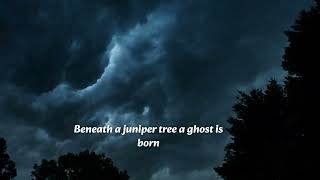 DJ Mayhem - juniper tree (Official Lyric Video)