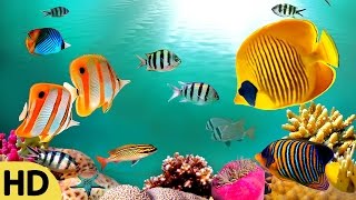 Relaxing Guitar Music, Soothing Music, Relax, Meditation Music, Instrumental Music to Relax, ☯2763