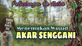 Asal Usul bahan Hardscape Natural Konsep [Dijual Berduit] (Senggani Part 2)