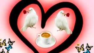 Ad Vlogs is going live! ❤️