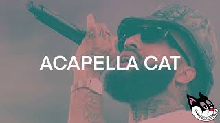 Larry June, Curren$y, The Alchemist - Everything Allocated Acapella 77 BPM - 4K Acapella Cat