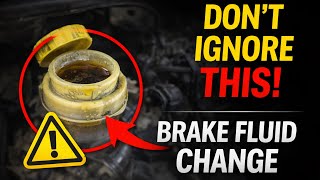 Does My Brake Fluid Need Changing? How to Check & Replace It Like a Pro!