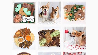 Chicago business offers personalized dog charcuterie boards (aka barkuterie) to pups across country