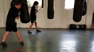The Boxing Training Network is going live!